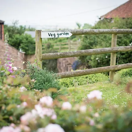 Huntstile Organic Farm-3
